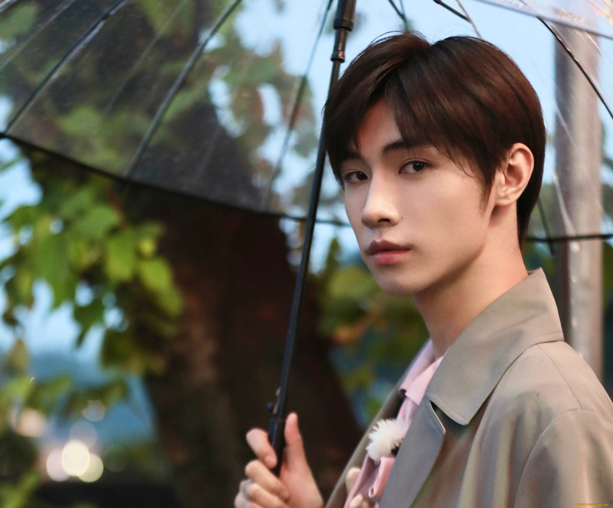 , song ji yang, , , , , 